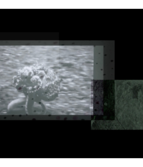 Still frame image from Shift Again, 2024. Digital video (11:20). 