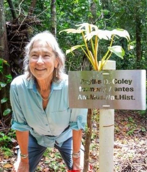 A person in a blue top smiling and standing outside among trees by a sign that reads "Phyllis D. Coley formerly/antes Am. Mus. Nat. Hist."