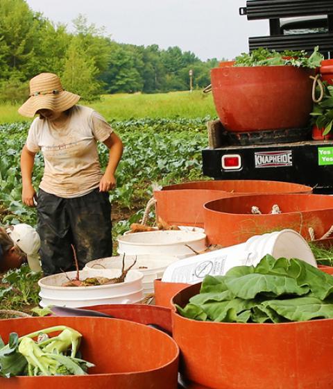 farm_ecojustice