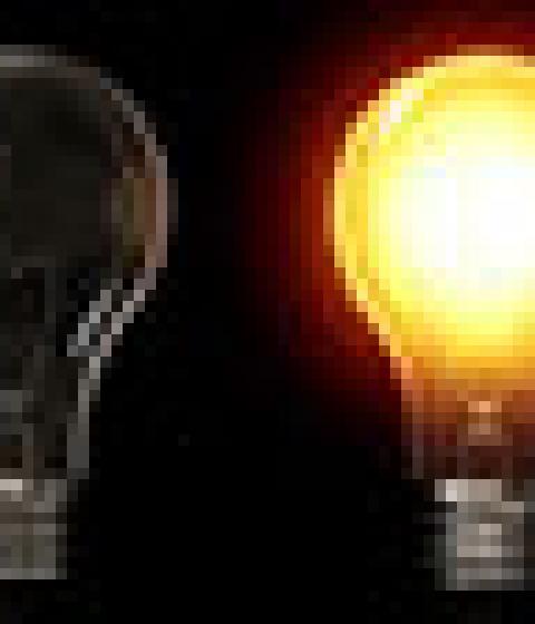 lightbulb