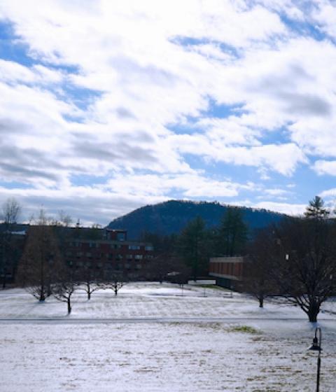 View from the R.W. Kern Center living building