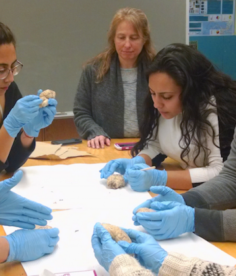 Director Pam Stone oversees a CBD student activity