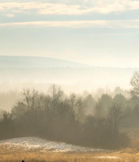 Hampshire meadow landscape March 2019