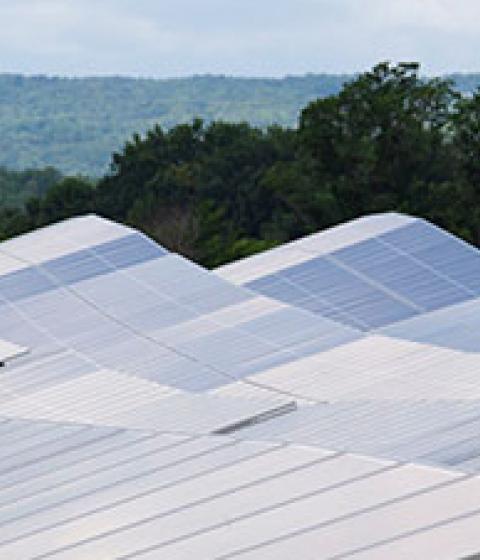 Field of solar panels