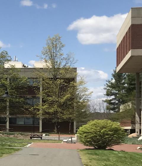 the center of campus, as seen in spring, with blue sky and green grass