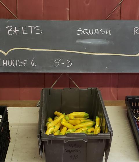 Bins of vegetables