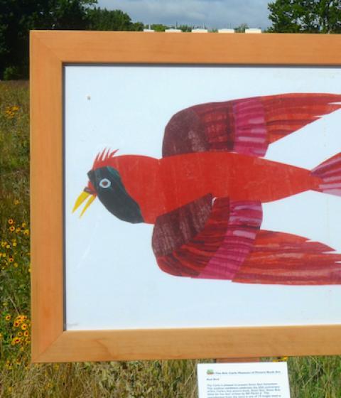 Eric Carle's Red Bird Illustration