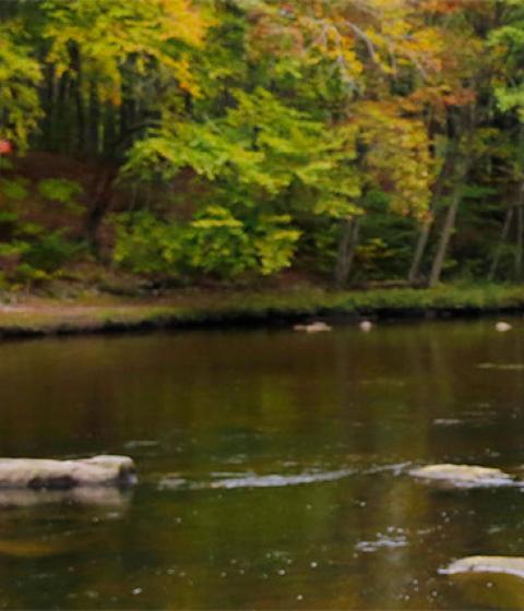 scenic water scene 