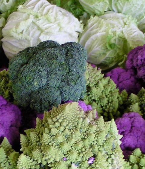 Vegetables from the Hampshire College Farm