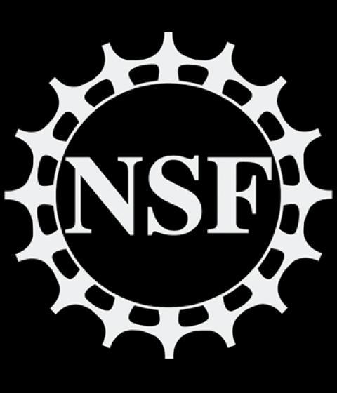 National Science Foundation Logo