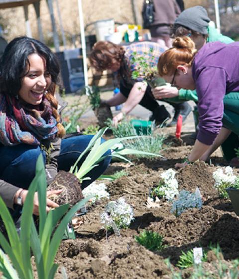 A $200,000 grant from the Roddenberry Foundation will challenge Hampshire College’s teachers and students to find interdisciplinary solutions to climate change, sustainability, resilience, and social justice 