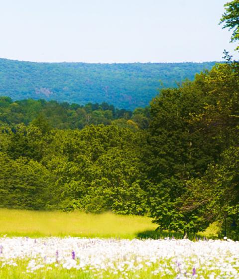 Hampshire College campus 2019