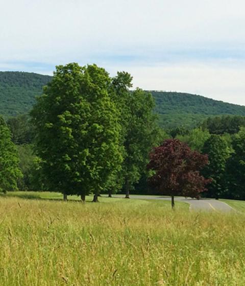 hampshire College campus 2019