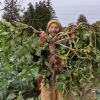 Will stands in a farm field holding up a large, bolted raddish